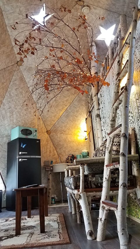 View of the sink, love seat, barn style door, two stars skylights, retro fridge