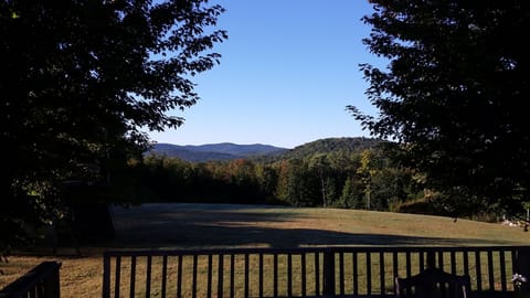 Summer view from deck