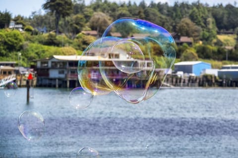 Crab Shack - Welcome to the Crab Shack