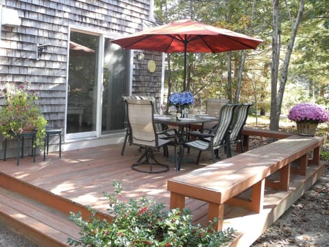 Large, sunny, private back yard