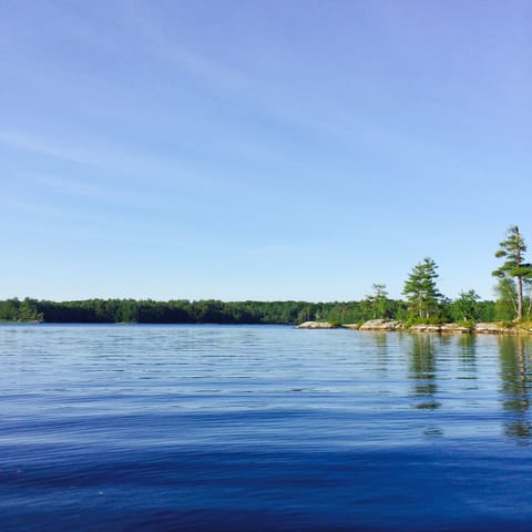 View from dock