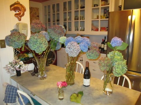 Hydrangeas picked from the garden.