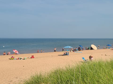 panmure beach 