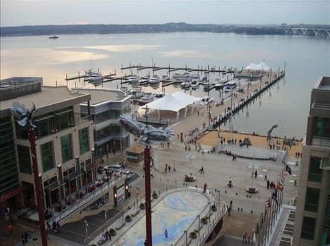 View of Harbor from Condo Building