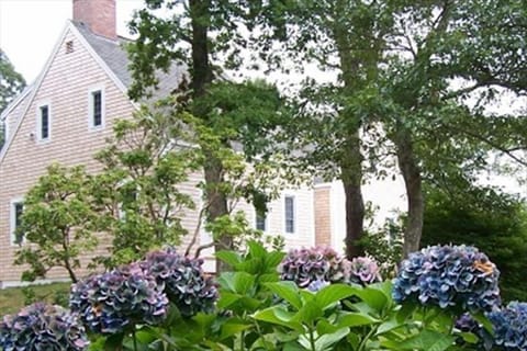 Our home and hydrangeas - summertime in Chatham!