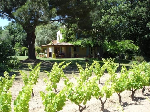 House from our vineyard