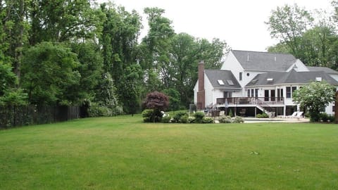 Back yard pool and deck