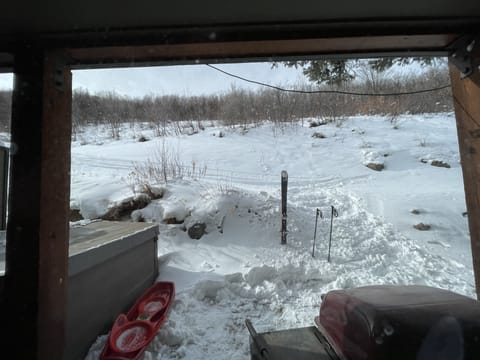 View of ski in path from backyard.