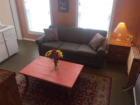 Lakeview suite living area with pull out sofa and the best view of Betsie Bay.
