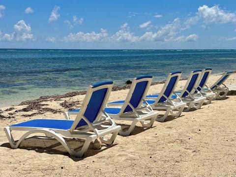 Cayman Paradise #1 - Beach