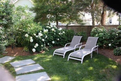 Lounge chairs within a fenced in yard