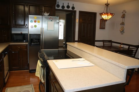 Large refrigerator and island stove 