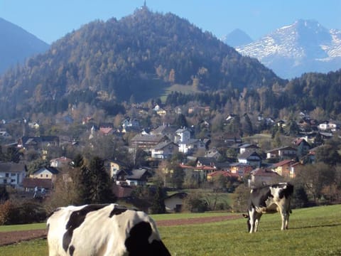Biobauernhof Tauchner - Apartment Farm Stay in Carinthia, Austria