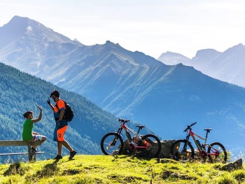 Hotel Bergkristall - double room, shower, WC, standard House in Carinthia, Austria