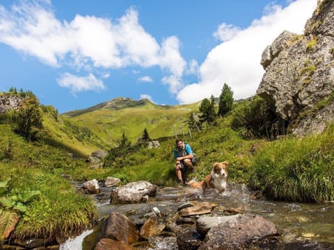 Hotel Bergkristall - double room, shower, WC, standard House in Carinthia, Austria