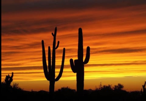 BEAUTIFUL ARIZONA SUNSET!! 😍😍