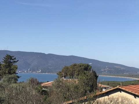 Beach/ocean view