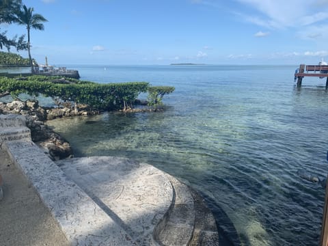 Enjoy your own NATURAL pool, the Florida Bay!