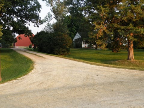 Driveway entrance 