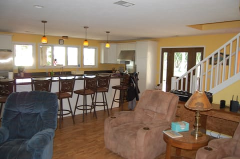 Living room / Kitchen