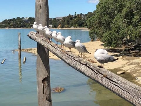 Raglan Silos - Grand apartment