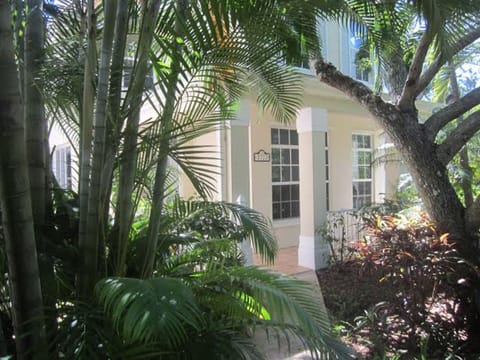 Palm Tree lane