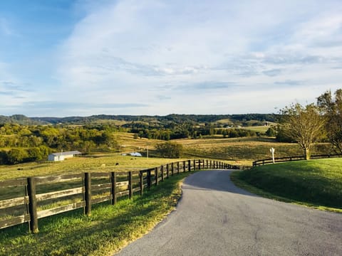 Driveway approach to Orchard Hill