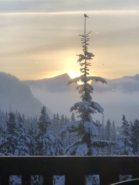 View from Nordic Lodge, very close by