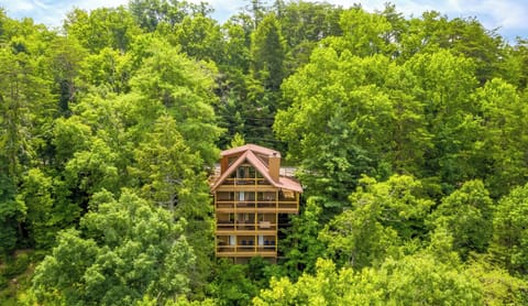 Pigeon Forge Log Cabin "Bearadise Mountain Lodge"