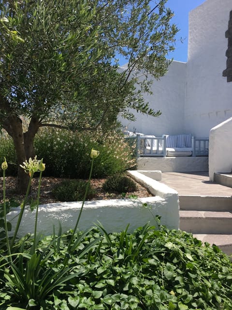 Garden and the middle terrace sofra 