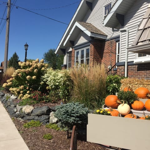 Fall Blooming!  