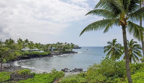 View from Lanai