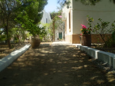 Path leading to main house with studio on side.