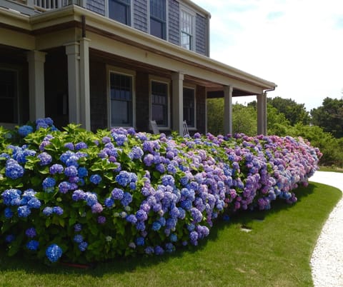 Hydrangeas, decks and gardens all around the house