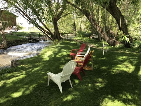 Backyard looking North