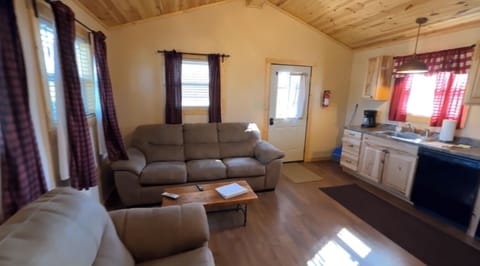 Living Area & Kitchen