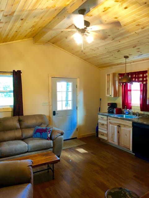 Living Area & Kitchen