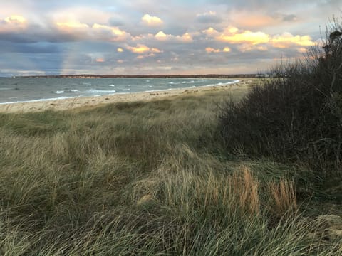 Sammy's Beach
