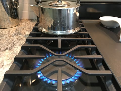 Gas stove
