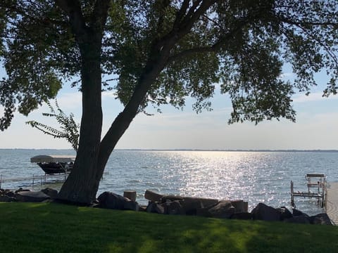 Late Morning View From The Patio