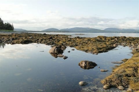 Tide pool on the beach with view of Cadillac mountain