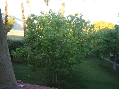 San Jacinto View from dining area.