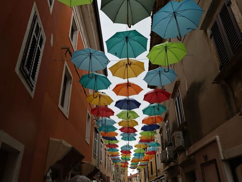 Daytime, Leaf, Building, Textile, Window, Art, Line, Symmetry, Landmark