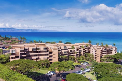 the resort