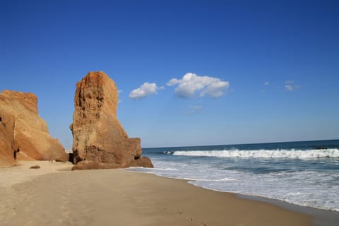 Lucy Vincent Beach