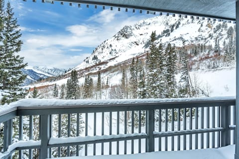 5 View from the Deck