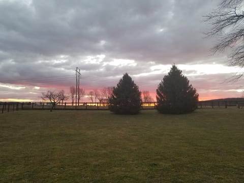 Sunrise from the backyard.