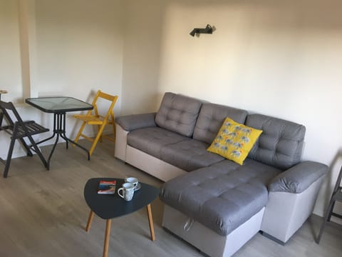 Double sofa , small tv , extra dining table , fast broadband , large windows