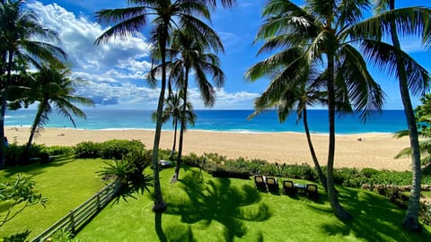 back yard