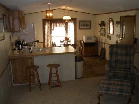 Dining/Kitchen Area